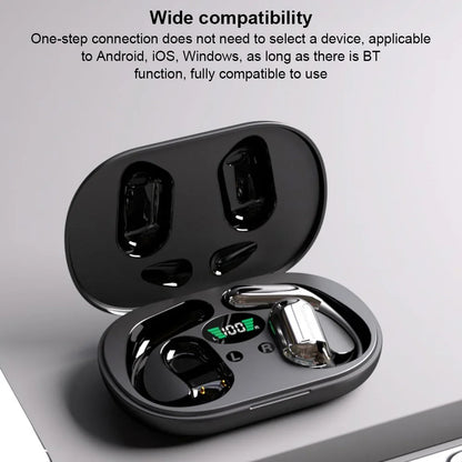 Veyra | AI Translation Earbuds 3.0